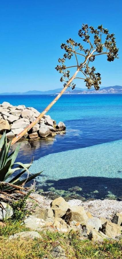 T2 D'Exception 100M Plage Terrasse Vue Mer Et Montagnes Проприано Екстериор снимка